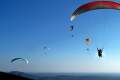 Parapente